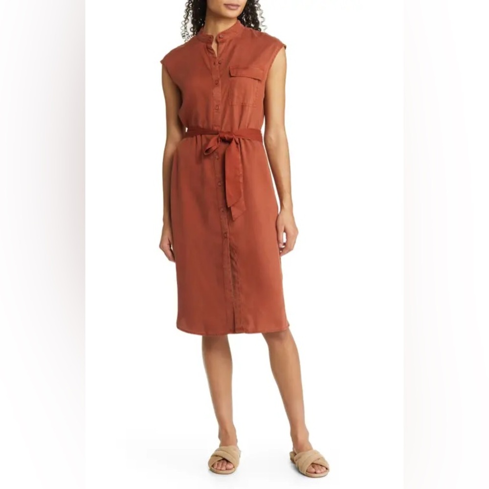 Caslon Terra cotta colored dress